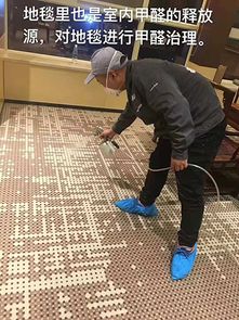 專業(yè)室內(nèi)環(huán)境治理來電咨詢 鑫佳源供應(yīng)