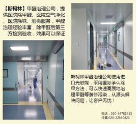 廣州室內(nèi)消毒哪里有 廣州室內(nèi)消毒 斯柯林專業(yè)服務(wù)高清圖片 高清大圖