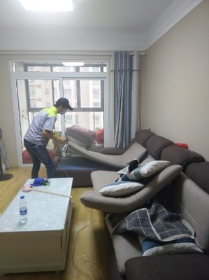 室內(nèi)車內(nèi)除甲醛治理公司收費(fèi)情況,新裝修辦_武漢小小葉子環(huán)保科技 - 商國互聯(lián)網(wǎng)