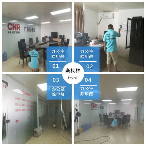 天河除甲醛公司 斯柯林專(zhuān)業(yè)服務(wù)好 番禺除甲醛公司