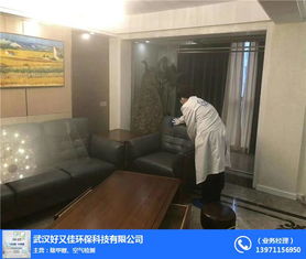 甲醛檢測(cè)治理哪家好 漢陽(yáng)甲醛檢測(cè)治理 好又佳環(huán)保